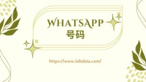 WhatsApp 号码